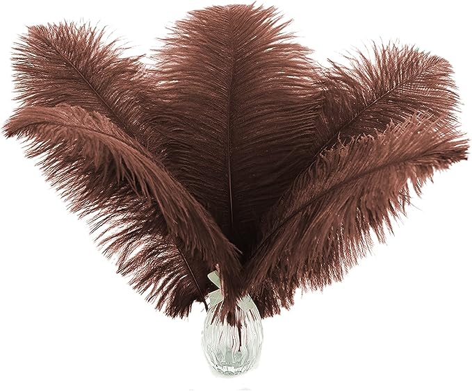 Ballinger Brown Ostrich Feathers Bulk by Ballinger