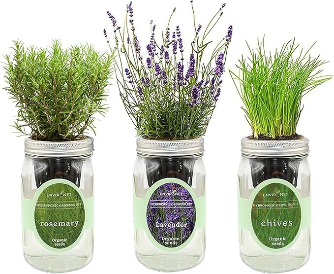 Hydroponic Herb Growing Kit Set, Self-Watering Mason Jar Herb Garden Starter by Environet