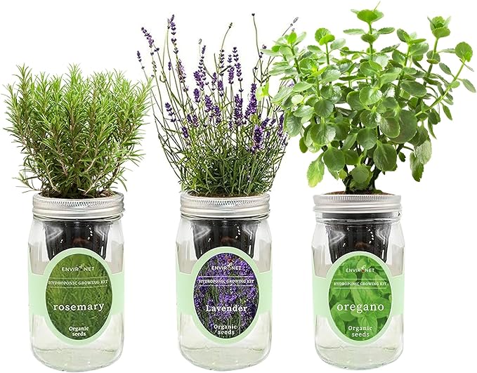 Hydroponic Herb Growing Kit Set, Self-Watering Mason Jar Herb Garden Starter by Environet