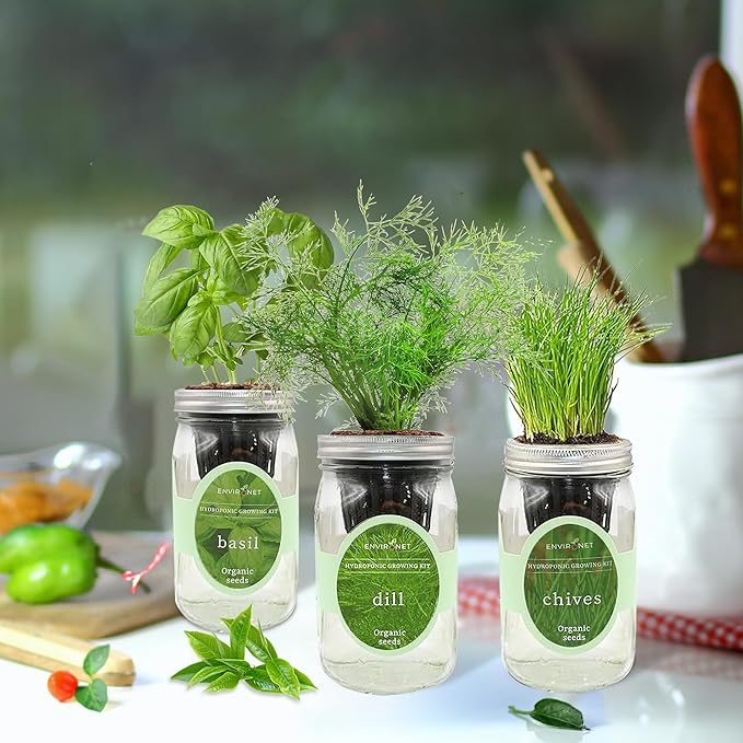 Hydroponic Herb Growing Kit Set, Self-Watering Mason Jar Herb Garden Starter - Image 5