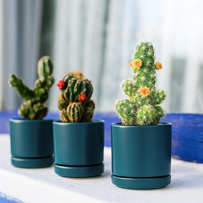 D'vine Dev Set of 4 Small Ceramic Plant Pots, 3.5 Inch Succulent Planter Pot - Image 6