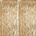 2 Pack Champagne Foil Fringe Backdrop Curtains, Tinsel Streamers Birthday Party by Voircoloria