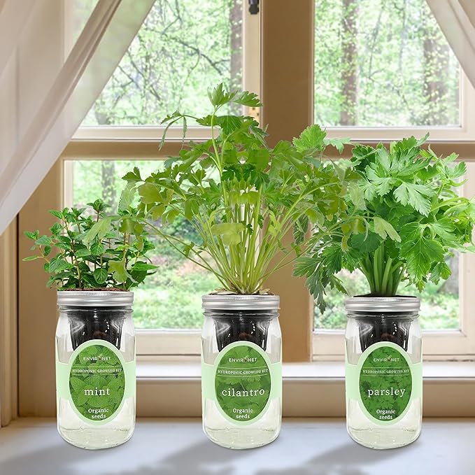 Hydroponic Herb Growing Kit Set, Self-Watering Mason Jar Herb Garden Starter - Image 2