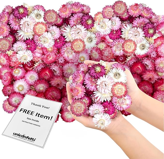 Dried Flower Pink Straw Daisy Biodegradable Confetti by JAPJA