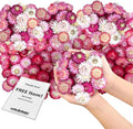 Dried Flower Pink Straw Daisy Biodegradable Confetti by JAPJA
