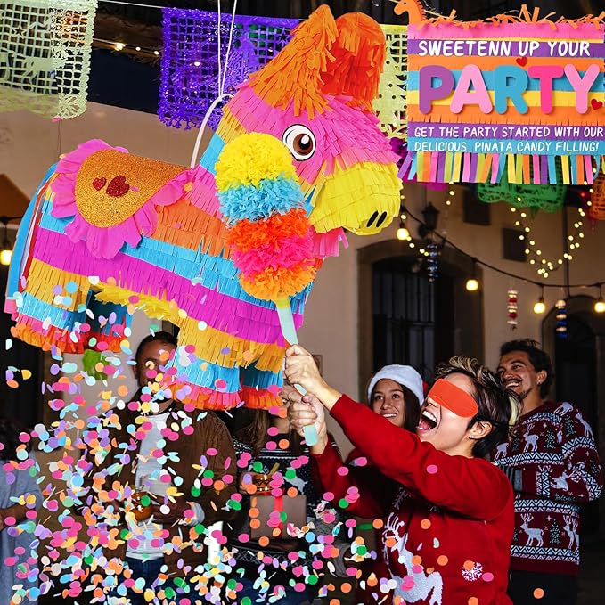 Cinco De Mayo Donkey Pinata - Image 7