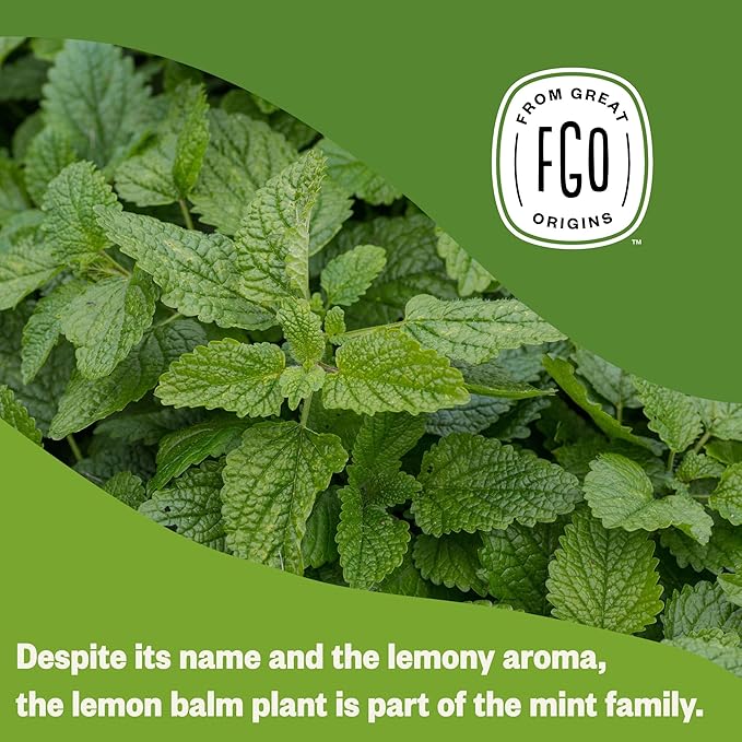 FGO Organic Lemon Balm Tea, Eco-Conscious Herbal Tea Bags, Resealable Bag - Image 6