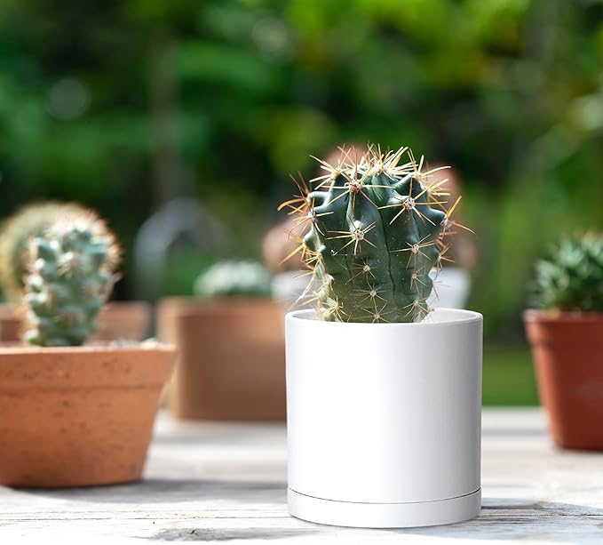 D'vine Dev 12 Pack 3.5 Inch Mini Plastic Plant Pots, Small Garden Planters - Image 5
