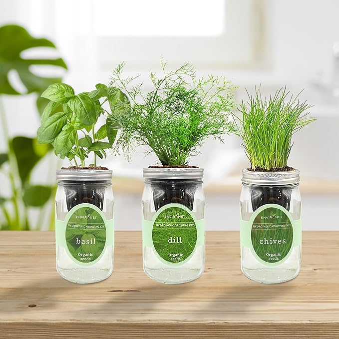 Hydroponic Herb Growing Kit Set, Self-Watering Mason Jar Herb Garden Starter - Image 3