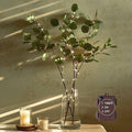 Hairui Lighted Eucalyptus Branches by Hairui