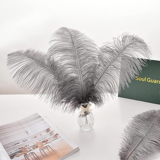 Ballinger Natural Gray Ostrich Feathers - Image 6
