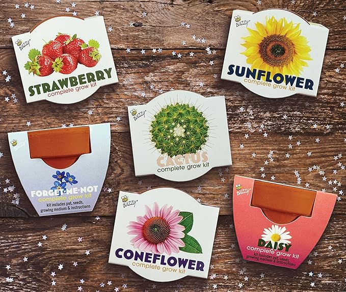 BUZZY Seeds Terracotta Mini Grow Pots | Herb, Flower Starter Kit - Image 5