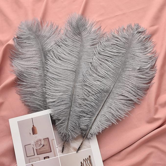 Ballinger Natural Gray Ostrich Feathers - Image 5