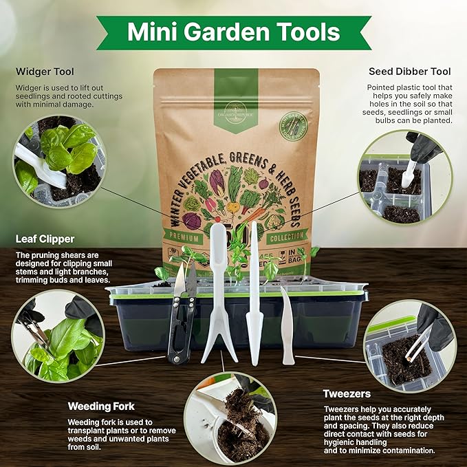 50 Winter Vegetable Garden Seeds Variety Pack - Image 5