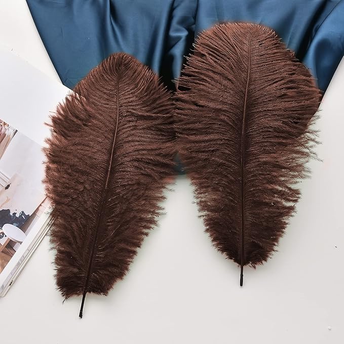 Ballinger Brown Ostrich Feathers Bulk - Image 4