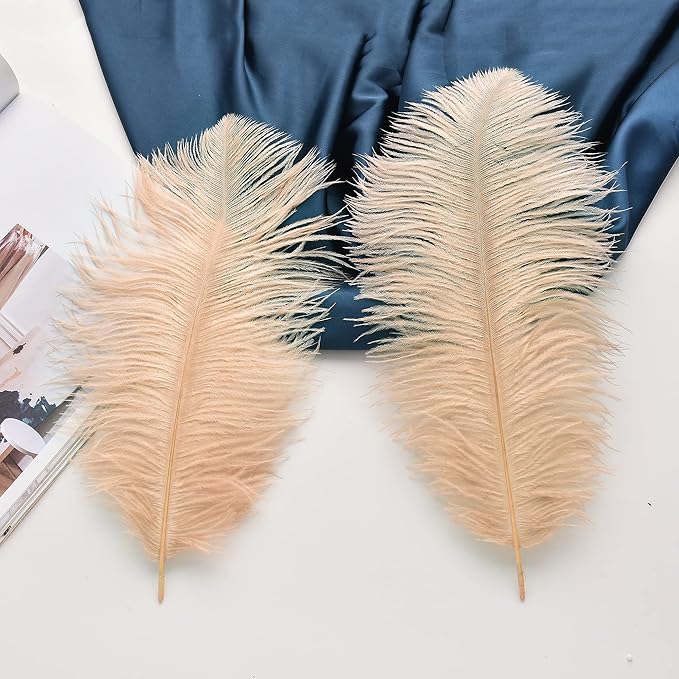 Ballinger Champagne Ostrich Feathers Bulk - Image 4
