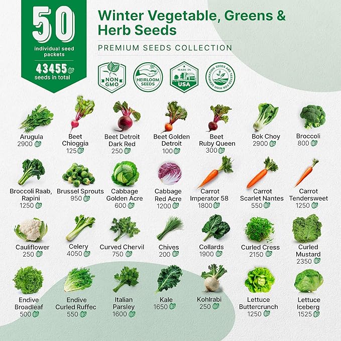 50 Winter Vegetable Garden Seeds Variety Pack - Image 3