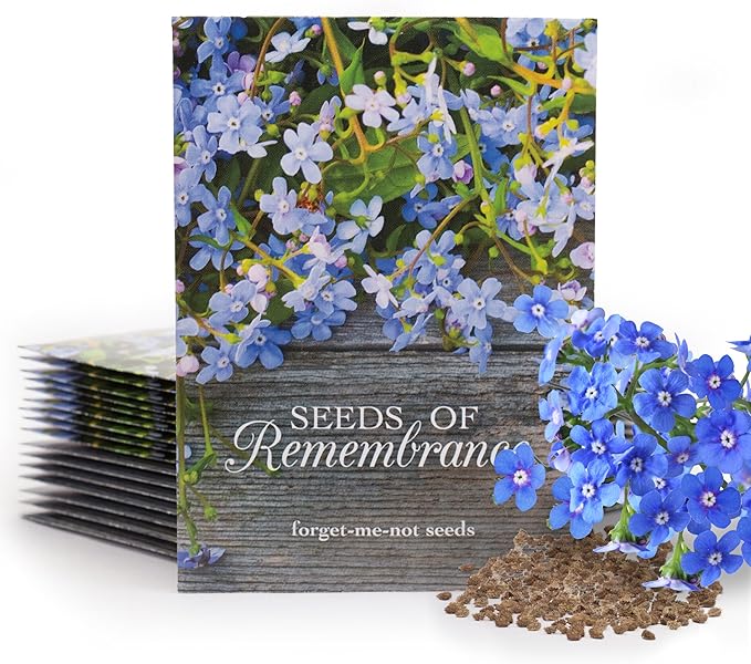 Bentley Seed Co. | Seeds of Remembrance | Pre Filled Non-GMO, Non-Coated Forget by OfficialBentleySeedProducts