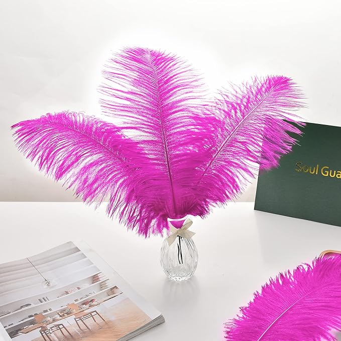 Ballinger Fuchsia Large Ostrich Feathers - Image 5