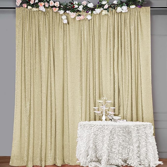 10FT x10FT Champagne Metallic Sheer Spandex Backdrop, 1 Panel Glitter by SFNSKY