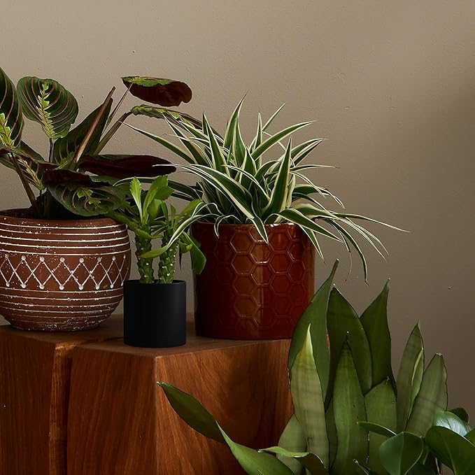D'vine Dev 6 Pack 4.5 Inch Modern Plastic Plant Pots, Small Garden Planters - Image 6