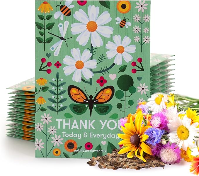 Bentley Seed Co. Thank You Packet by OfficialBentleySeedProducts