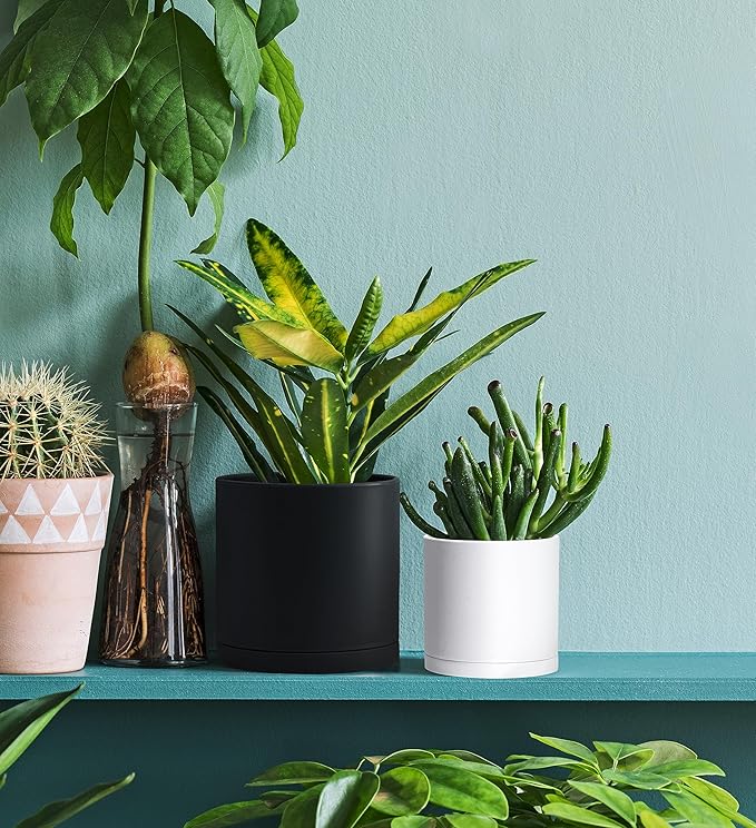 D'vine Dev 6 Pack 4.5 Inch Modern Plastic Plant Pots, Small Garden Planters - Image 6