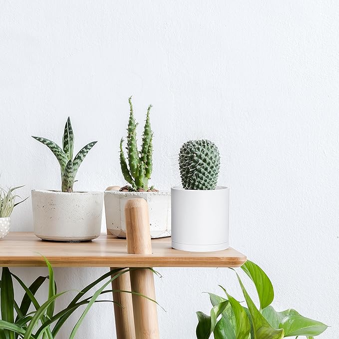D'vine Dev 2 Pack 4 Inch Modern Plastic Plant Pots, Small Garden Planters - Image 6