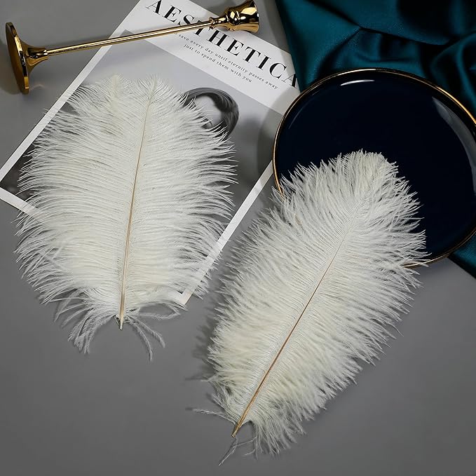 Ballinger Beige Ostrich Feathers Bulk - Image 4