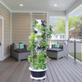 Hydroponic System Kit, Hydroponic Vertical Garden, Lettuce & Herb Starter Kit by Unknown