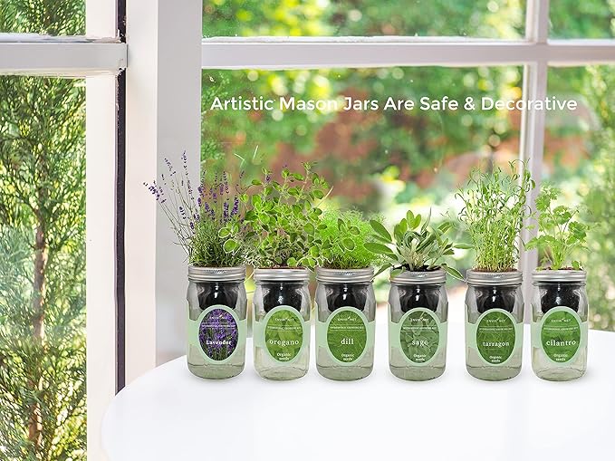 Hydroponic Herb Growing Kit Set, Self-Watering Mason Jar Herb Garden Starter - Image 5