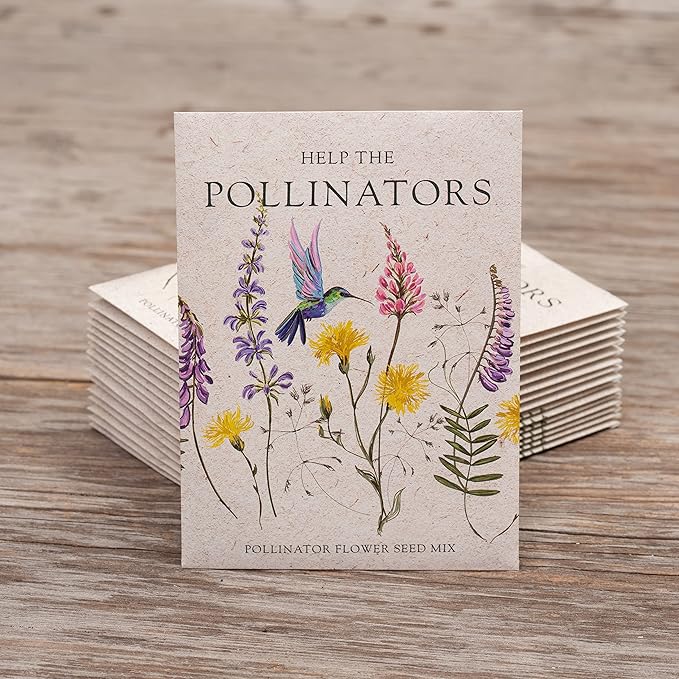 Bentley Seed Co. | Help Pollinators Kraft Hummingbird | 25 Non-GMO, Non-Coated - Image 3