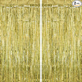 2 Pack Light Green Fringe Curtains Foil Shiny Fringe Backdrop Tinsel Door by TOTAFAM