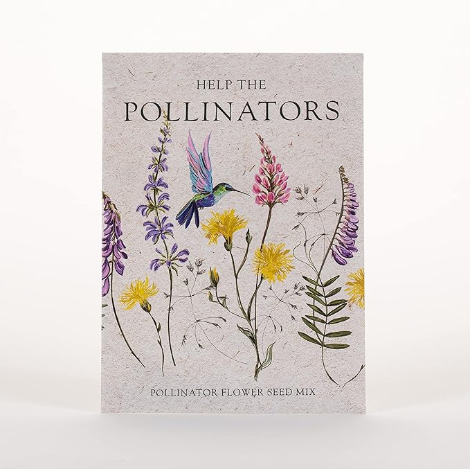 Bentley Seed Co. | Help Pollinators Kraft Hummingbird | 25 Non-GMO, Non-Coated by OfficialBentleySeedProducts
