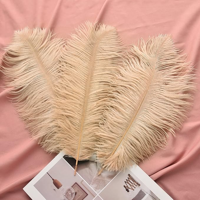 Ballinger Large Champagne Ostrich Feathers - Image 5
