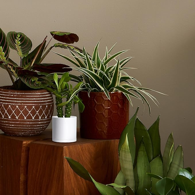 D'vine Dev 6 Pack 4.5 Inch Modern Plastic Plant Pots, Small Garden Planters - Image 5