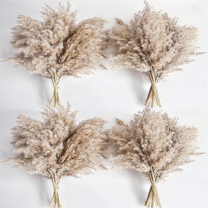 40 PCS Nature Pampas Grass Bouquet Decor by Unknown