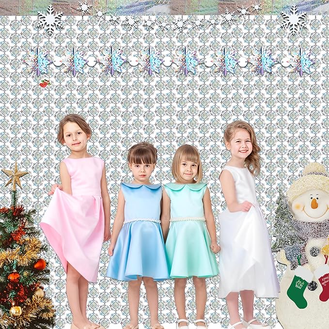Silver Snowflake Fringe Curtain - Image 3