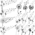 13 Sheets Beautiful Dandelion Temporary Tattoos by EGMBGM