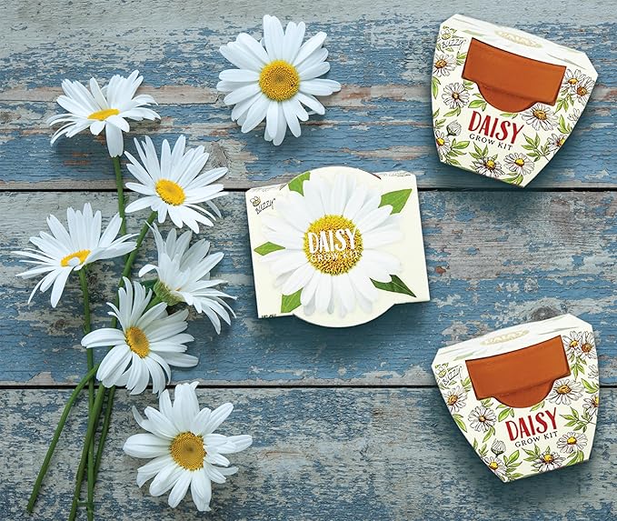 BUZZY Seeds Daydream Mini Terracotta Pots 12-Pack - Image 4