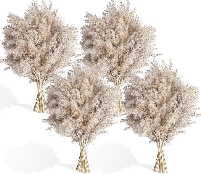 40 PCS Nature Pampas Grass Bouquet Decor - Image 2