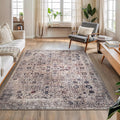 Bloom Rugs Washable Non-Slip 5' x 7' Rug by BloomRugs