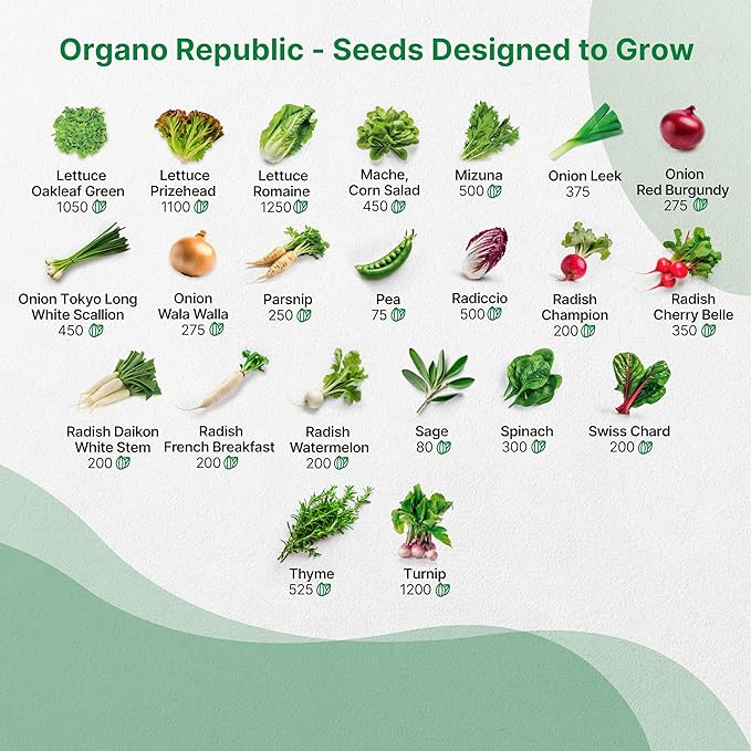 50 Winter Vegetable Garden Seeds Variety Pack - Image 4