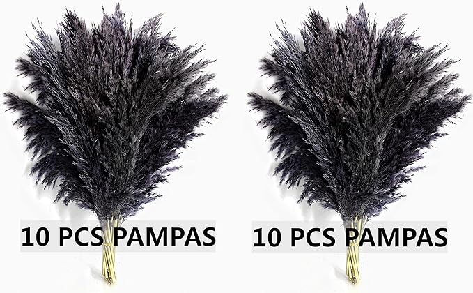 Black Pampas Grass for Home Decor - Image 3