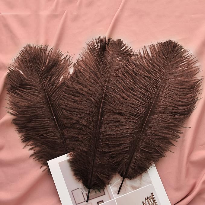 Ballinger Brown Big Ostrich Feathers - Image 7