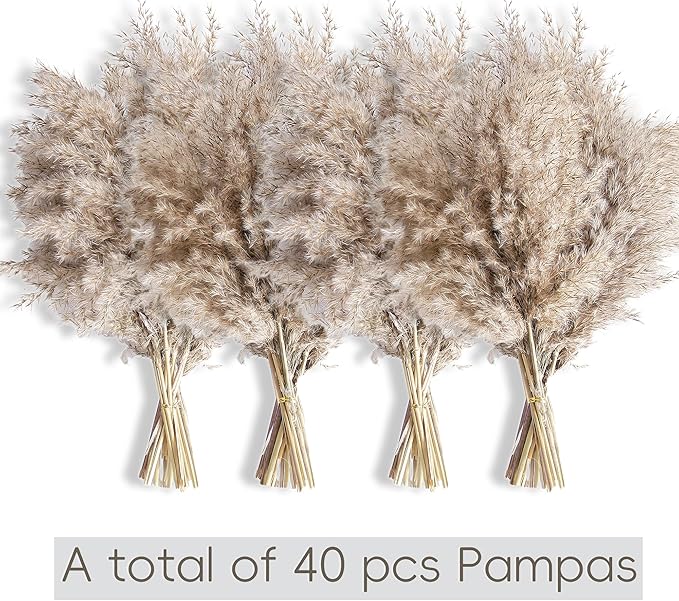 40 PCS Nature Pampas Grass Bouquet Decor - Image 3