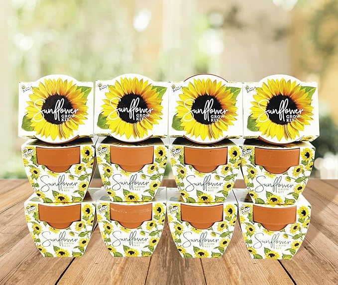 BUZZY Seeds All-in-One Sunflower Mini Terracotta Pot Grow Kits 12-Pack - Image 6