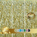 TONIFUL 3Pcs Wavy Metallic Tinsel Foil Fringe Curtains Champagne Gold Streamer by TONIFUL