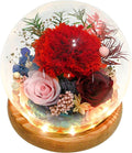Valley of Rain & Forest Long-Lasting Real Flowers, Unique Floral Gift by ValleyofRainForest
