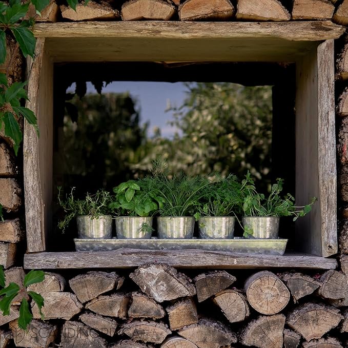 SCANDINORDICA Galvanized Metal Herb Planter, 5 Pots - Image 5